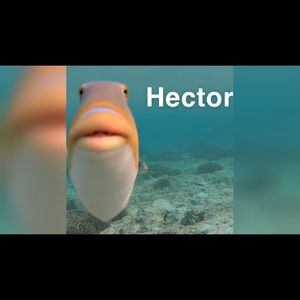 Meet your Posher, Noah